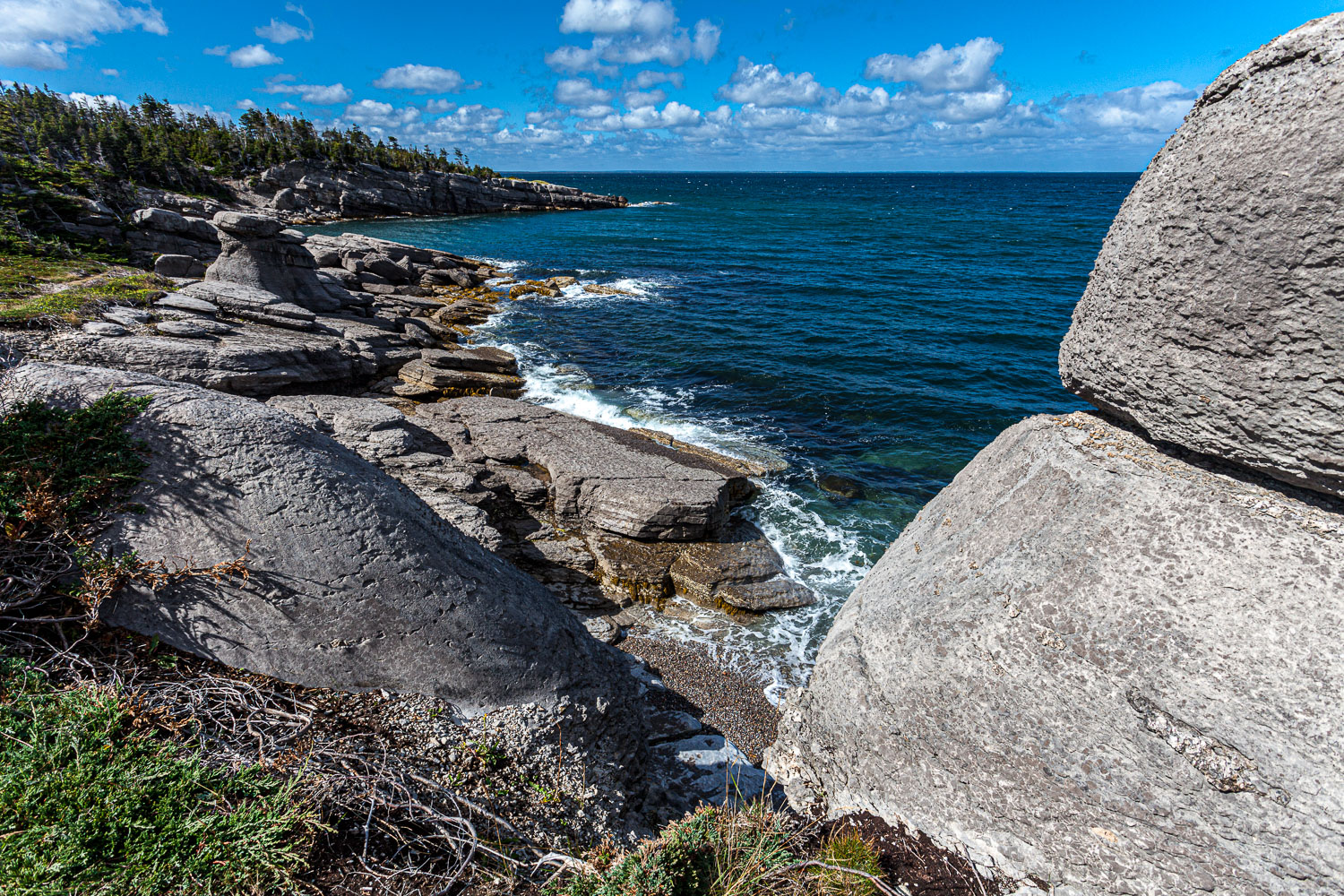 NFLD_14_62310__MG_9448.jpg