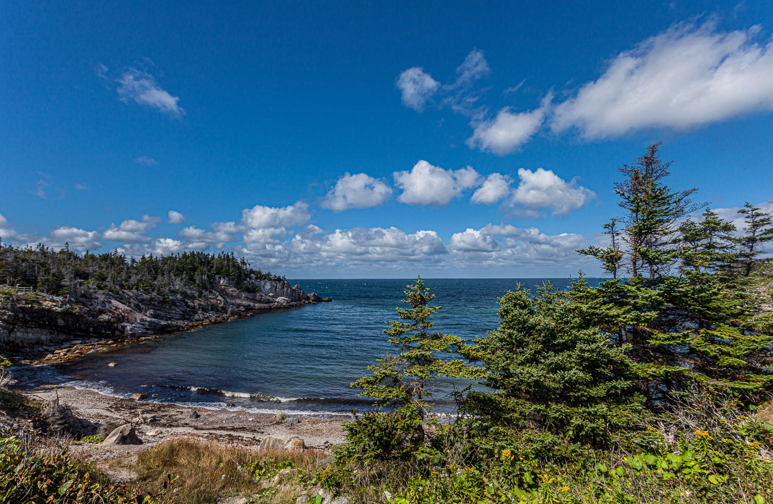 NFLD_14_62348__MG_9467.jpg