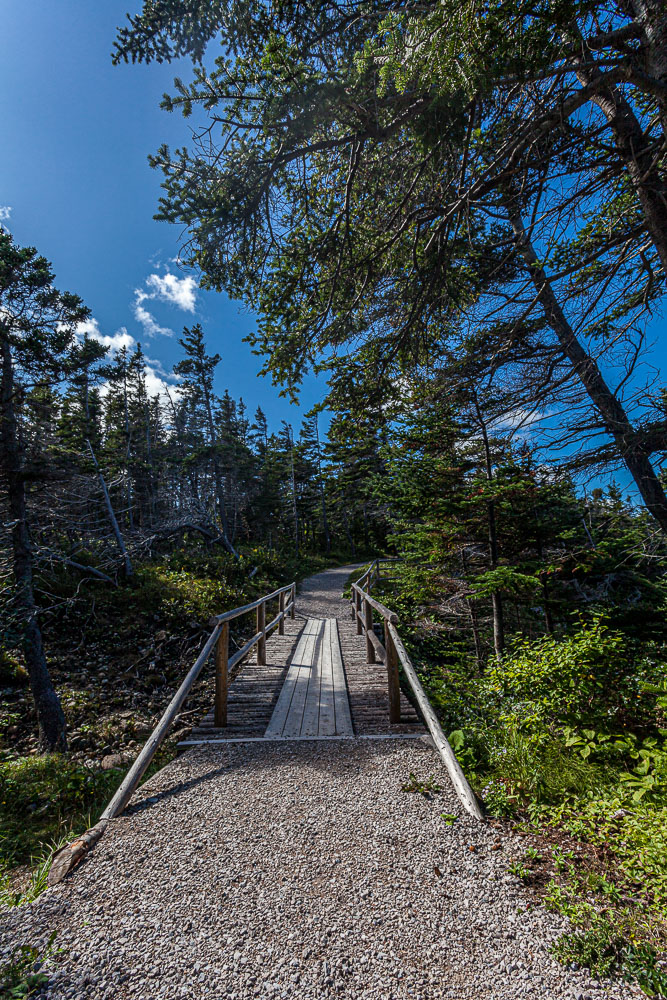 NFLD_14_62350__MG_9468.jpg