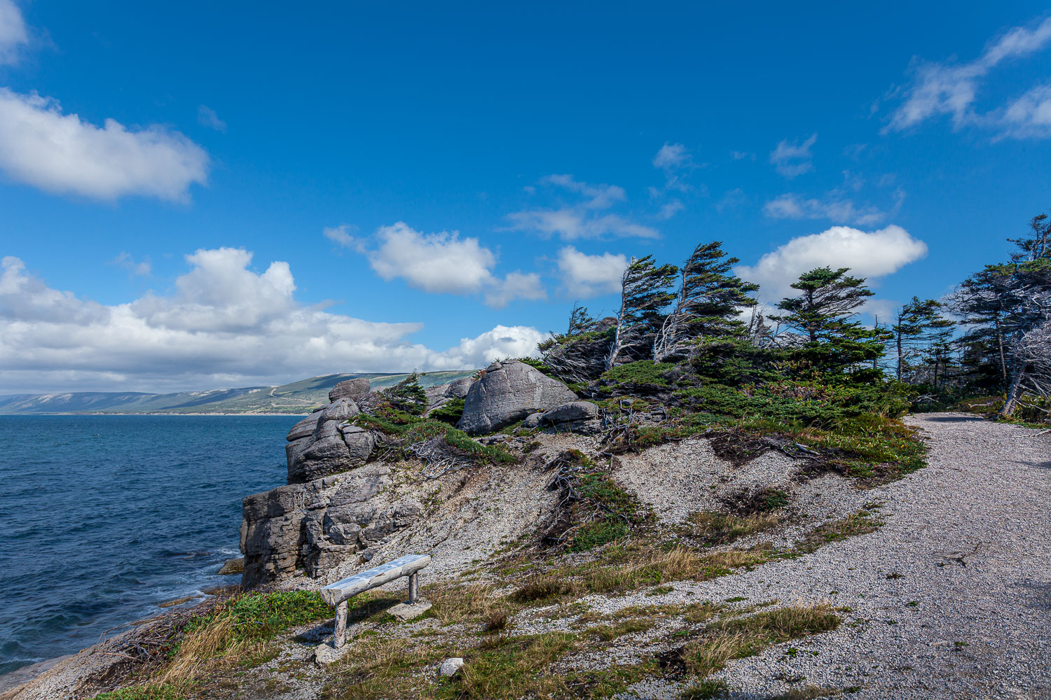 NFLD_14_62382__MG_9484.jpg