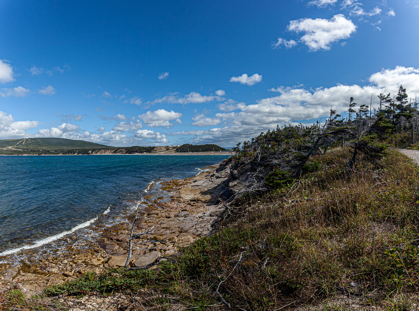 NFLD_14_62406__MG_9496-Pano.jpg