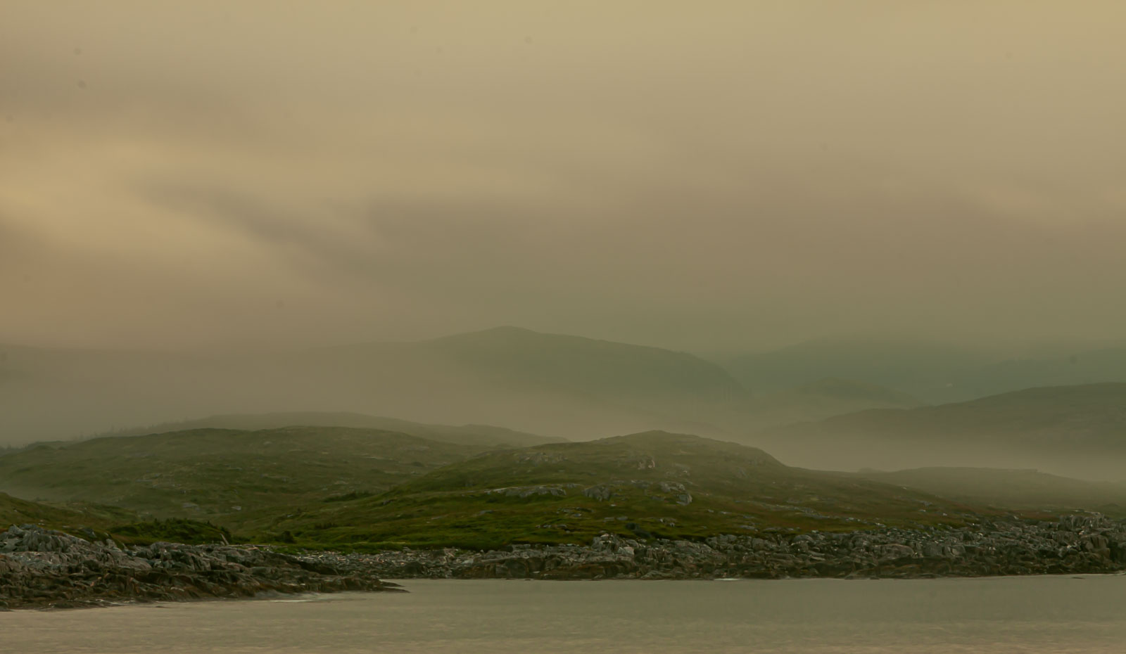 NFLD_0147__MG_8874.jpg