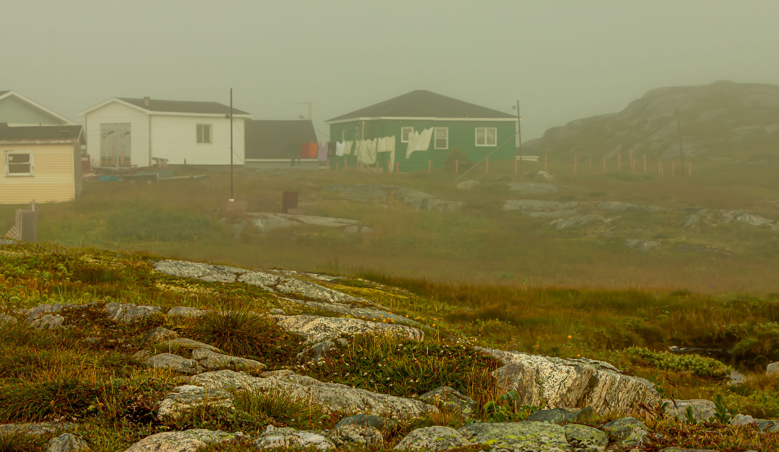 NFLD_0151__MG_8878.jpg