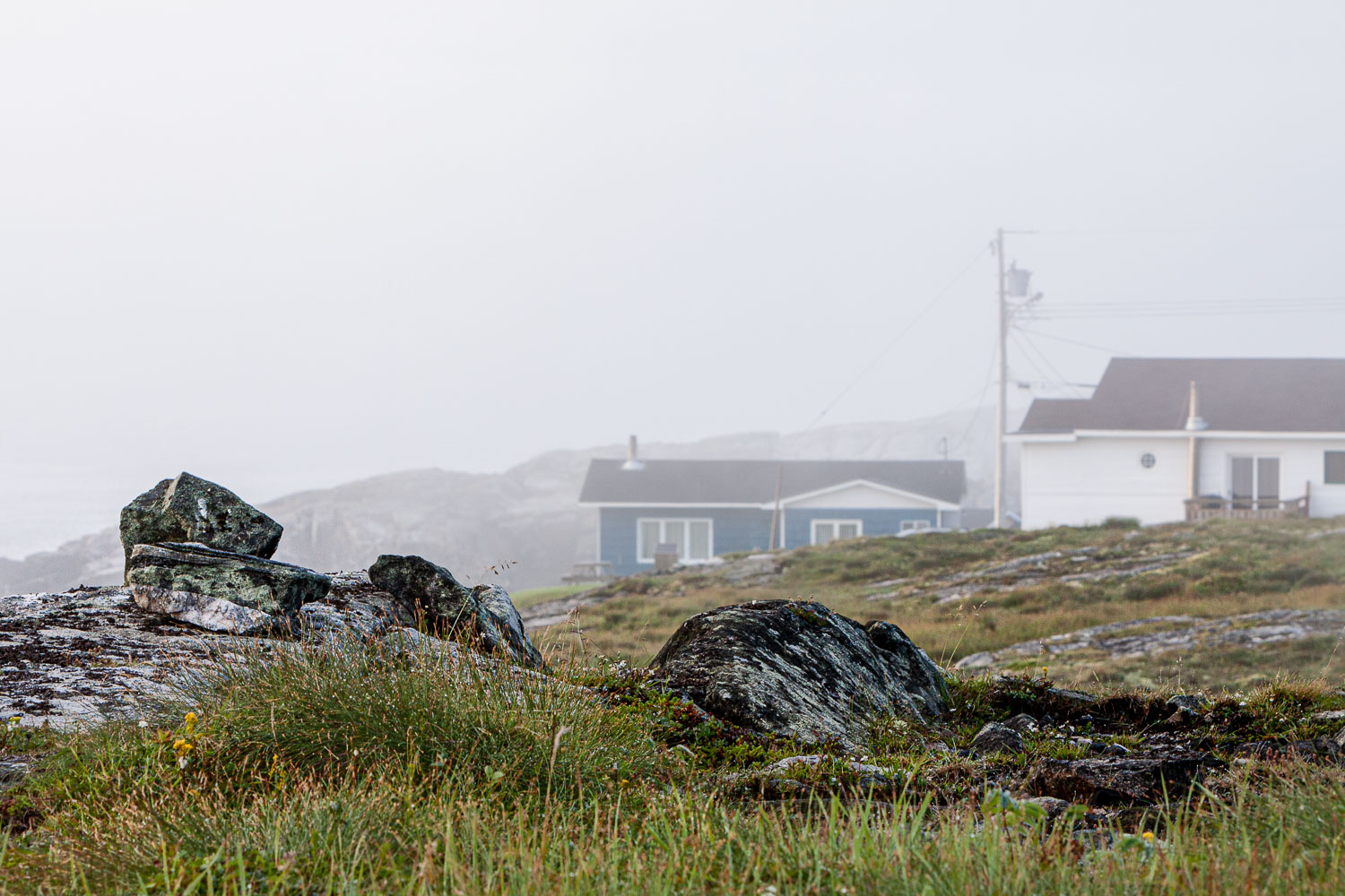 NFLD_0163__MG_8890.jpg