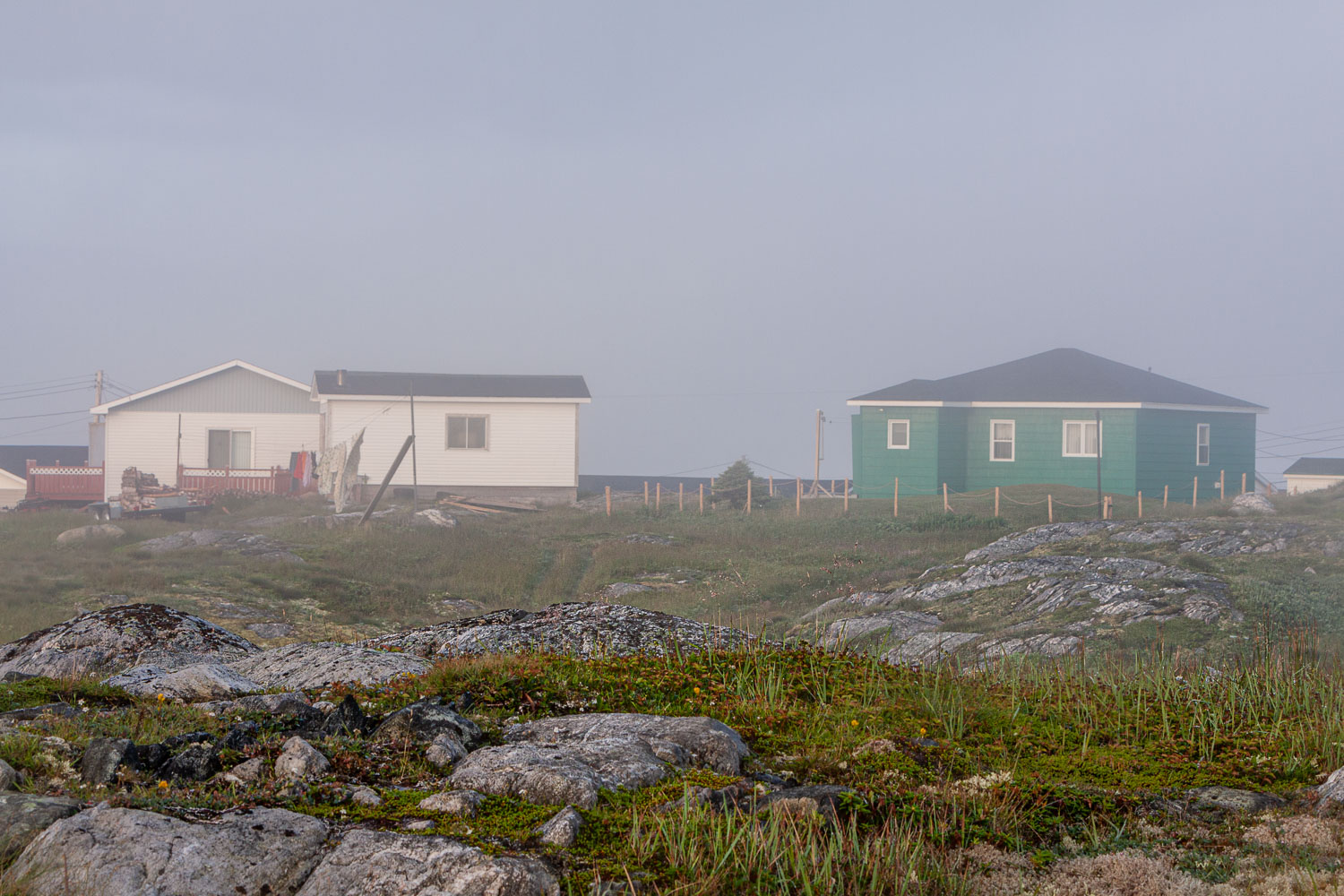 NFLD_0166__MG_8893.jpg