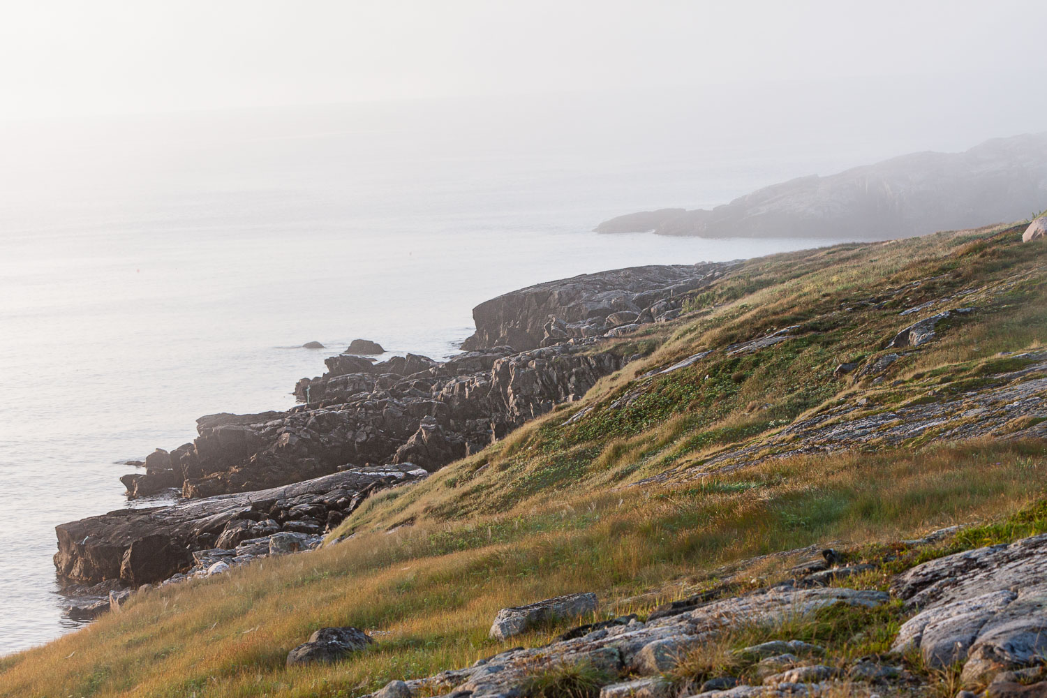 NFLD_0169__MG_8896.jpg