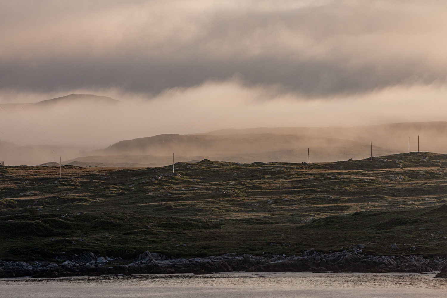 NFLD_0170__MG_8897.jpg