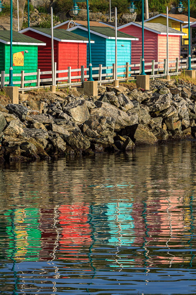 NFLD_0201__MG_8928.jpg