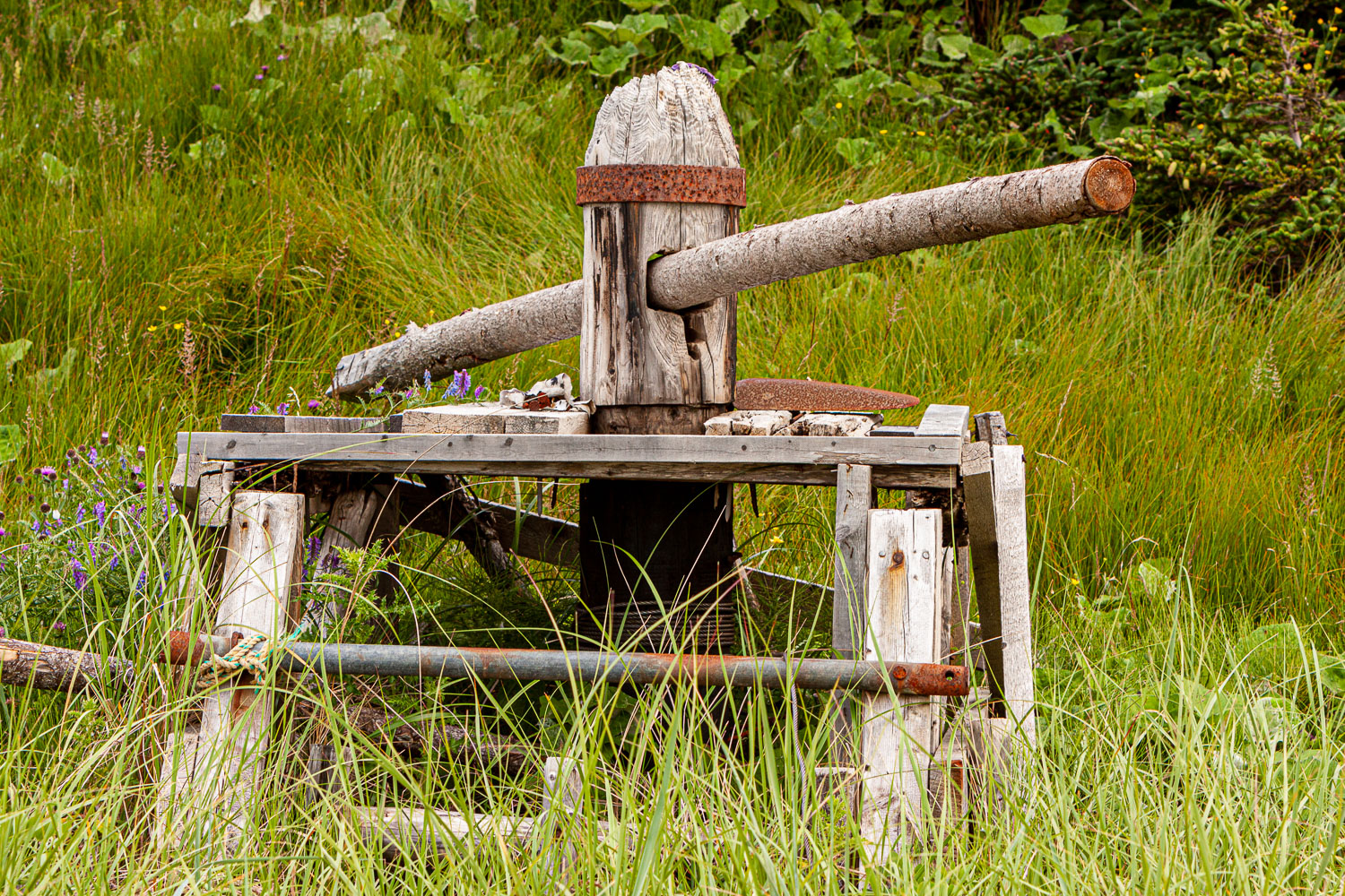 NFLD_0314__MG_9041.jpg