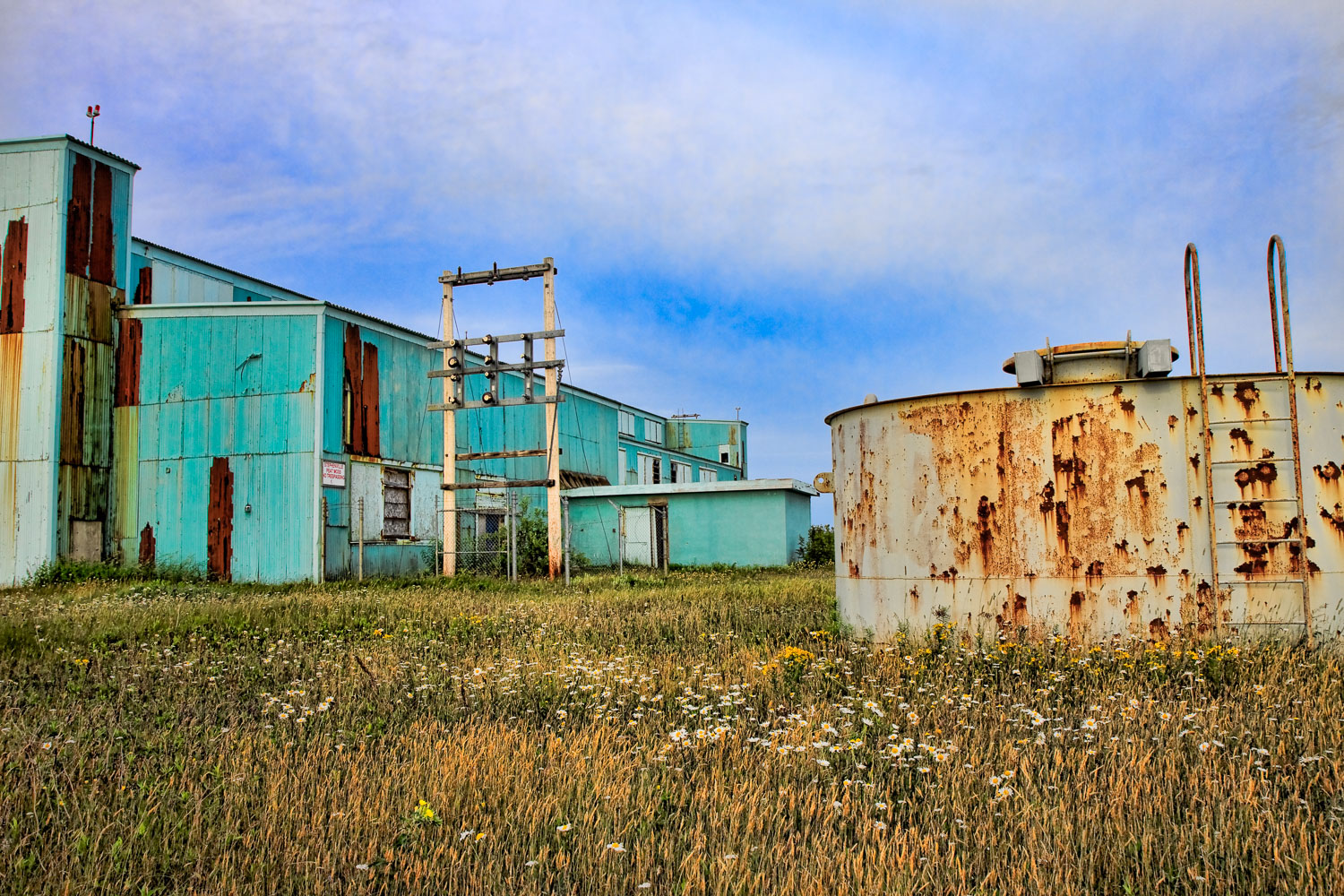 NFLD_0423__MG_9150-Edit.jpg