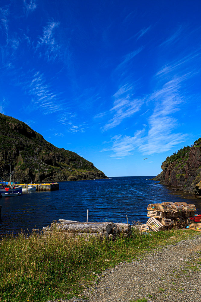 NFLD_04270__MG_3247.jpg