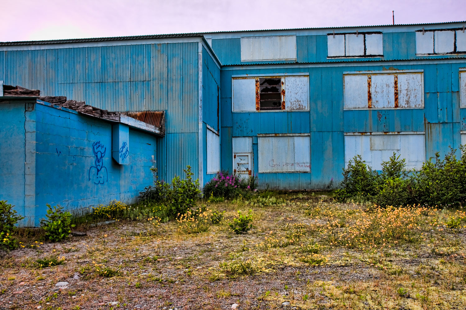 NFLD_0428__MG_9155-Edit.jpg