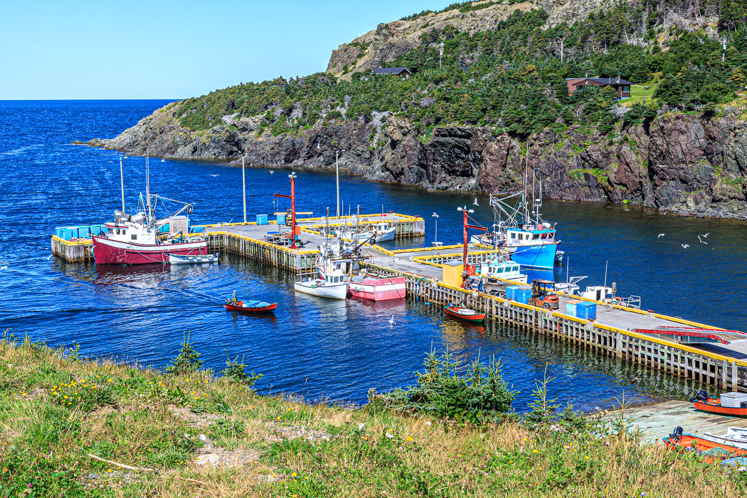 NFLD_04298__MG_3275.jpg