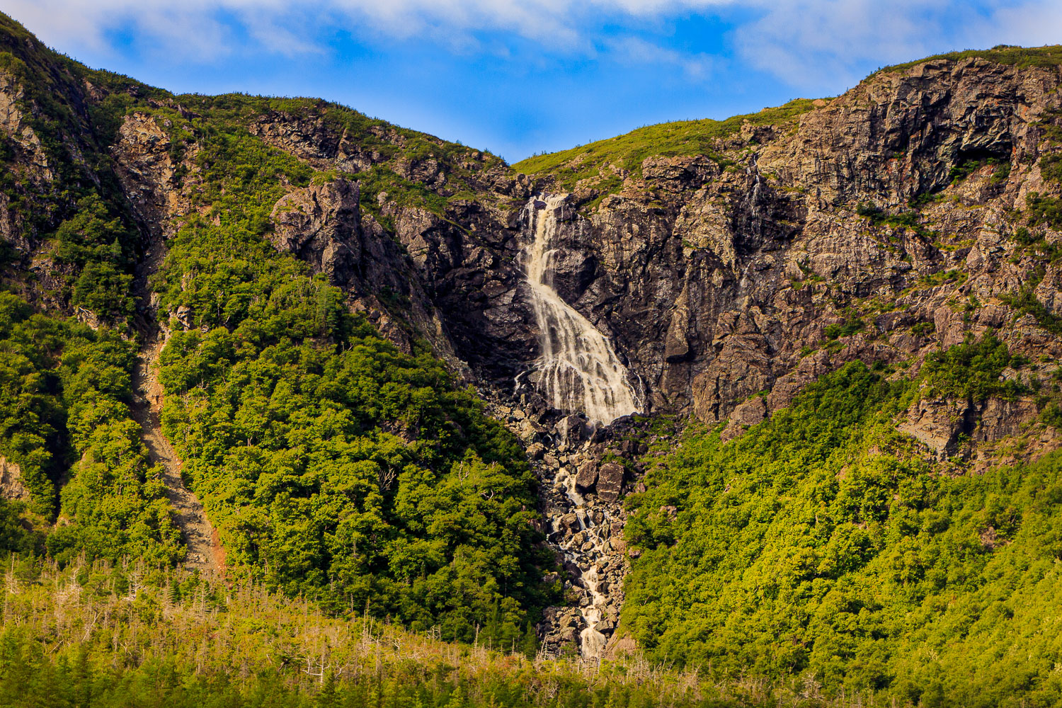 NFLD_04613__MG_3173.jpg