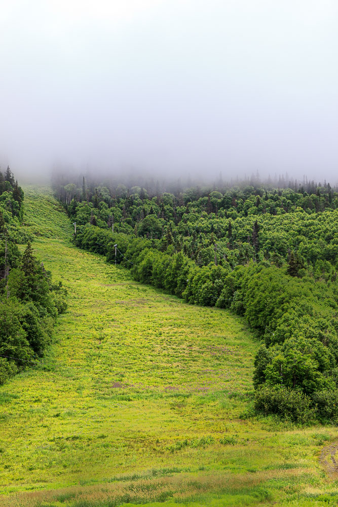 NFLD_0631__MG_9358.jpg