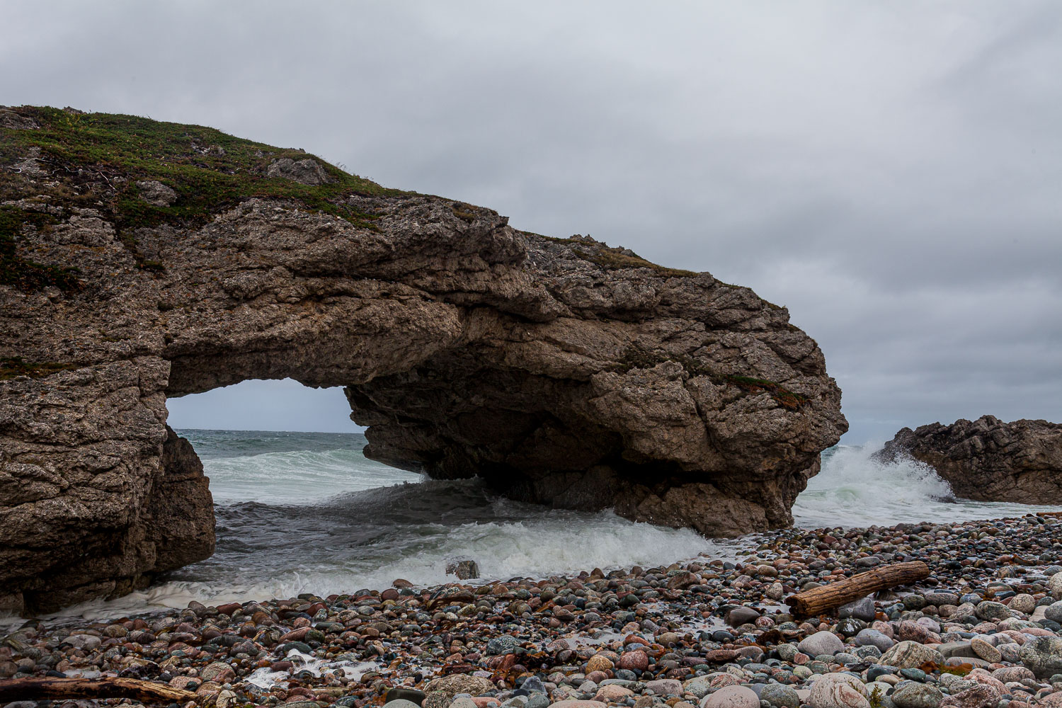 NFLD_14_58976__MG_9683.jpg