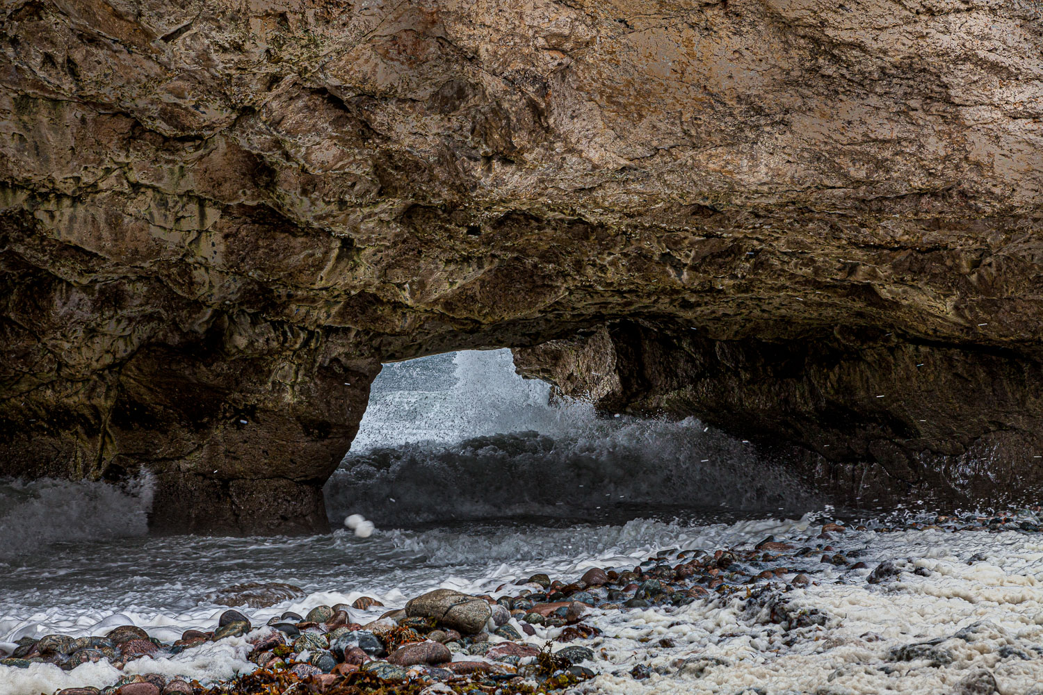 NFLD_14_58977__MG_9684.jpg