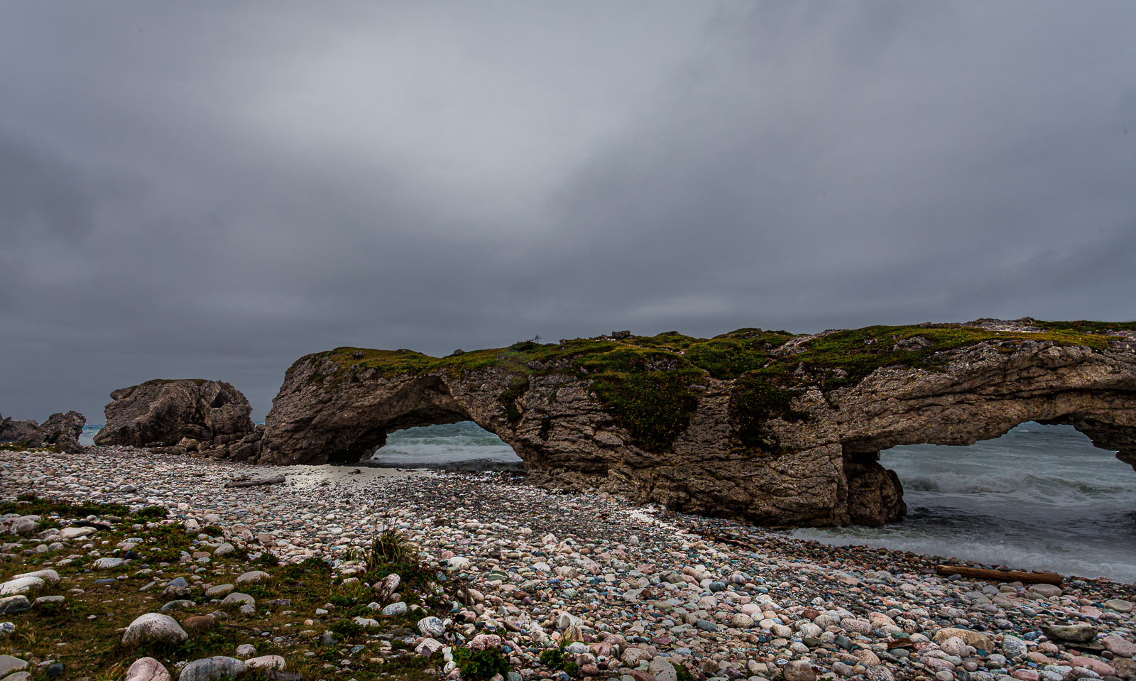 NFLD_14_62670__MG_9652.jpg