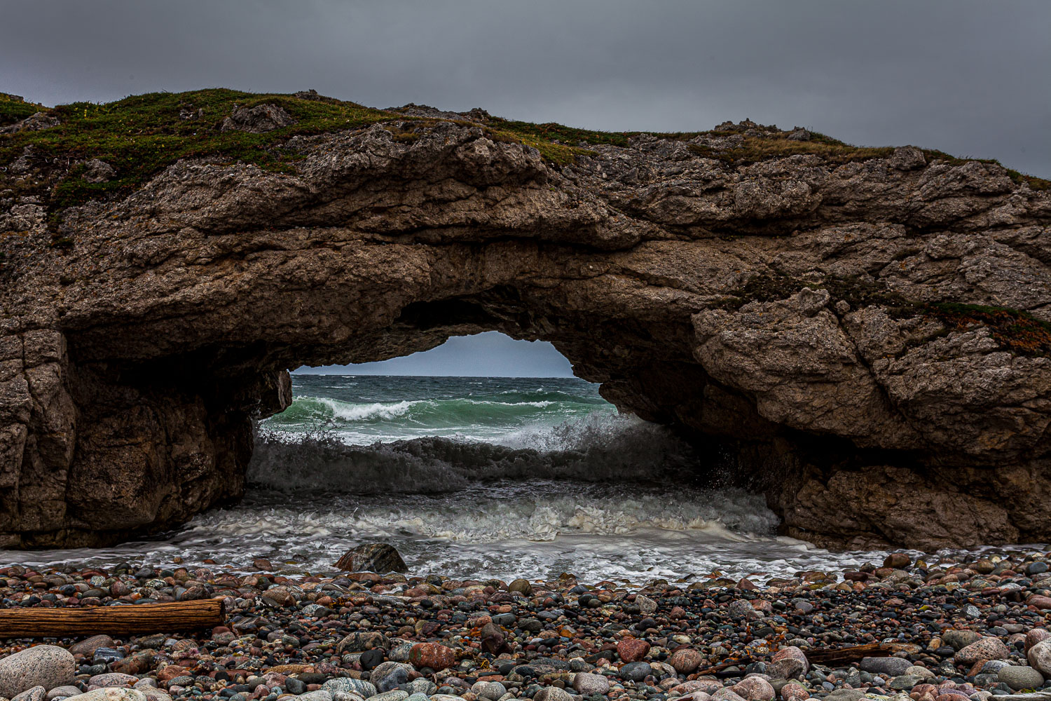 NFLD_14_62675__MG_9657.jpg