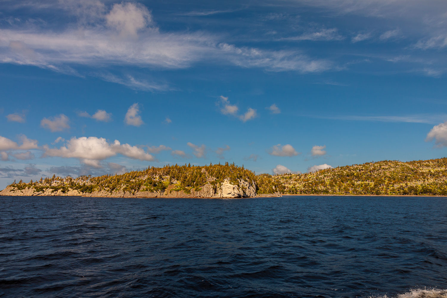 NFLD_10_15018__MG_8222.jpg