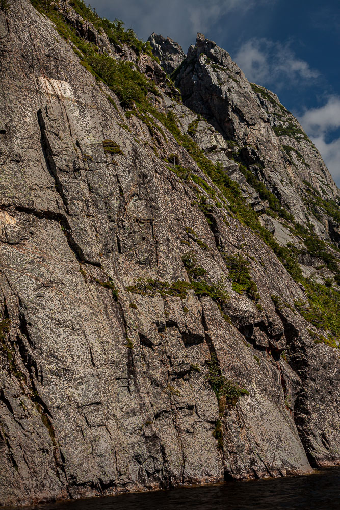 NFLD_10_15036__MG_8240.jpg