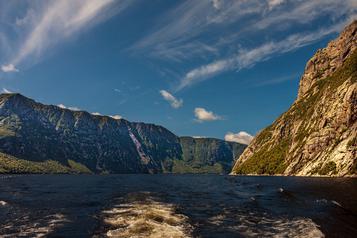 NFLD_10_15048__MG_8252.jpg