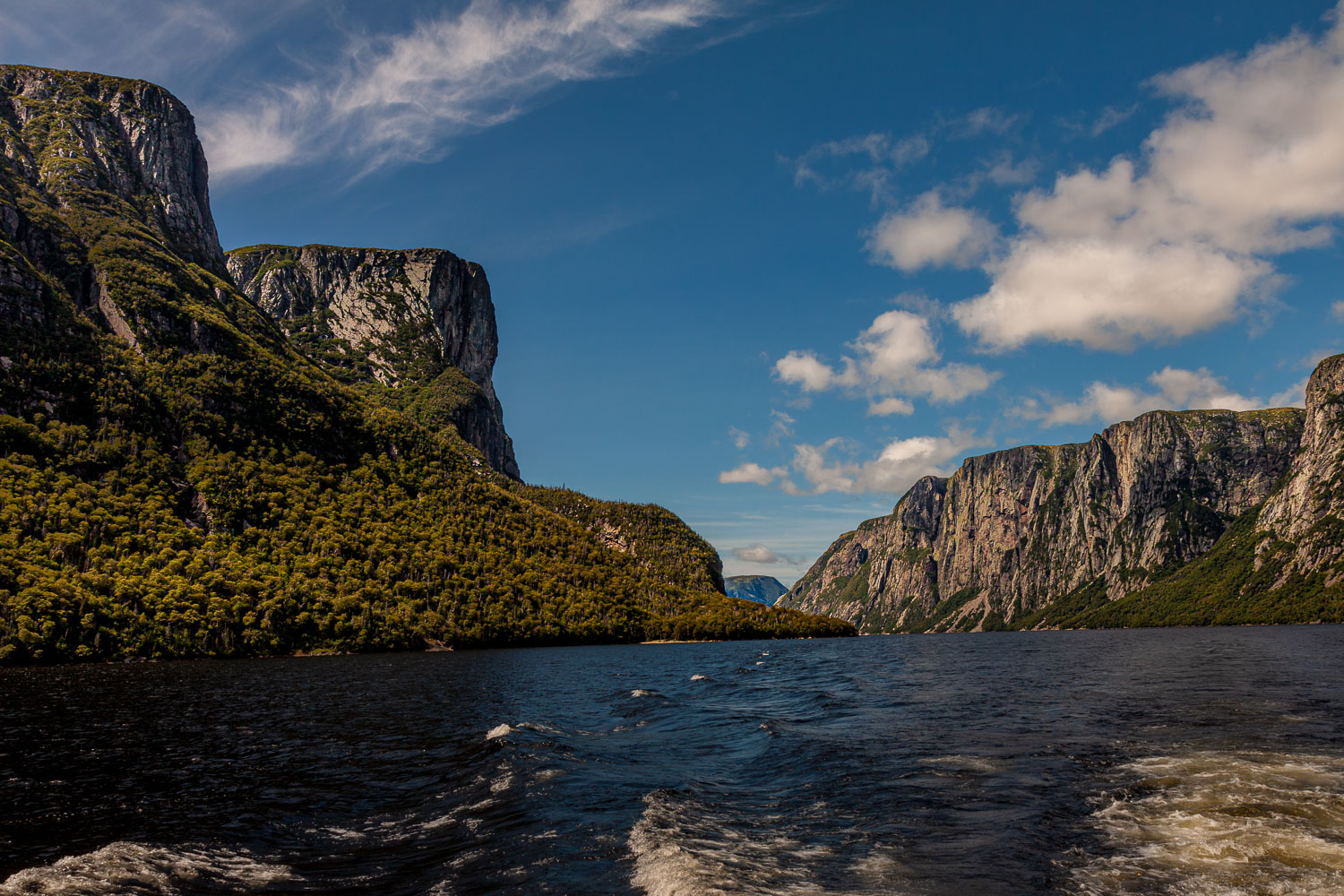 NFLD_10_15068__MG_8272.jpg