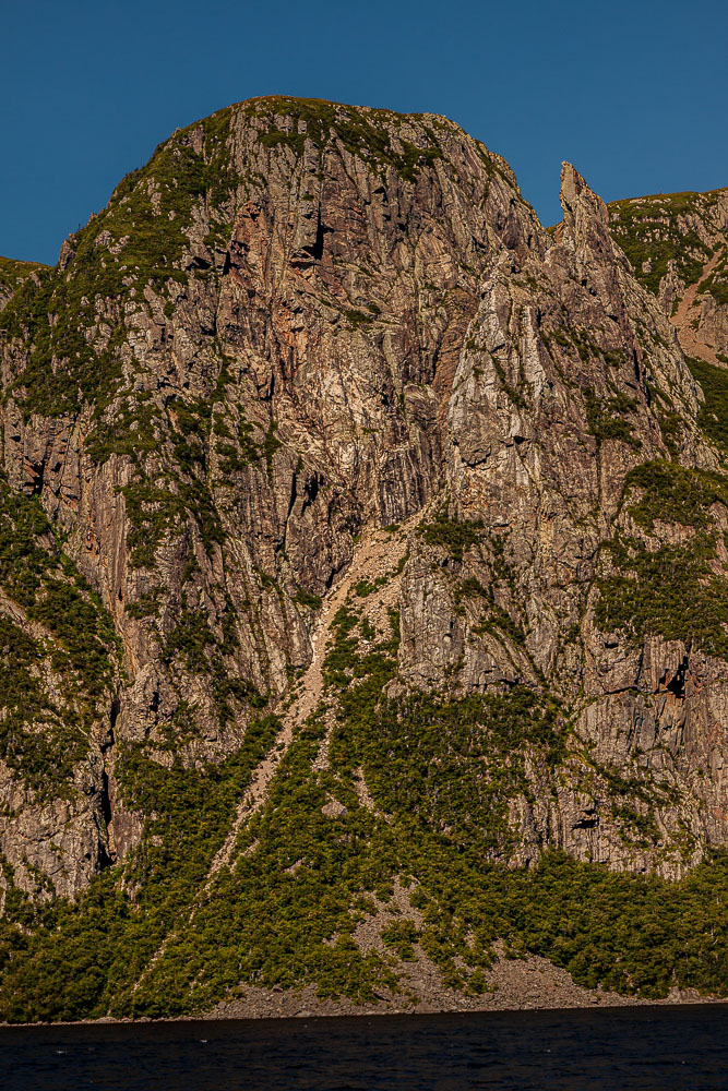 NFLD_10_15092__MG_8296.jpg