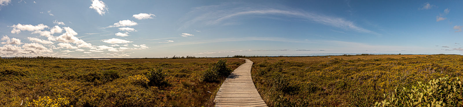 NFLD_10_15124__MG_8328-Pano.jpg