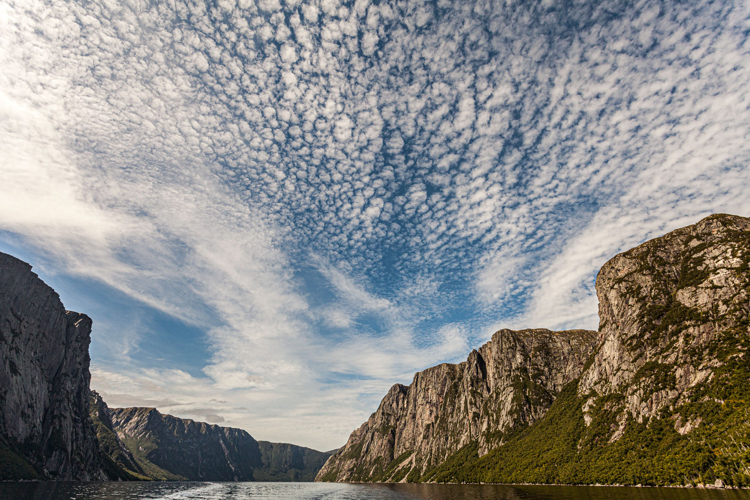 NFLD_14_62630__MG_9612.jpg