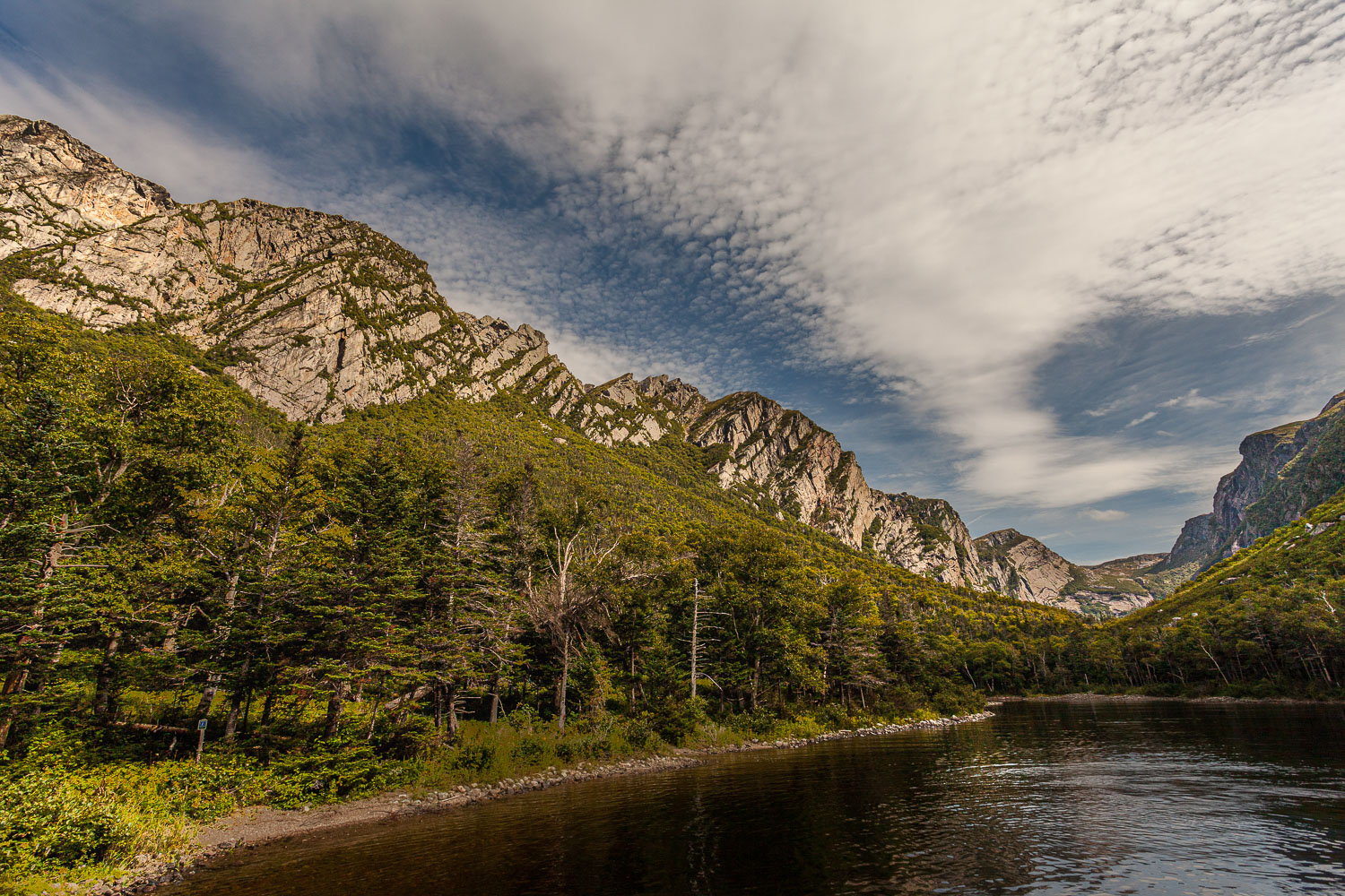 NFLD_14_62643__MG_9625-HDR.jpg