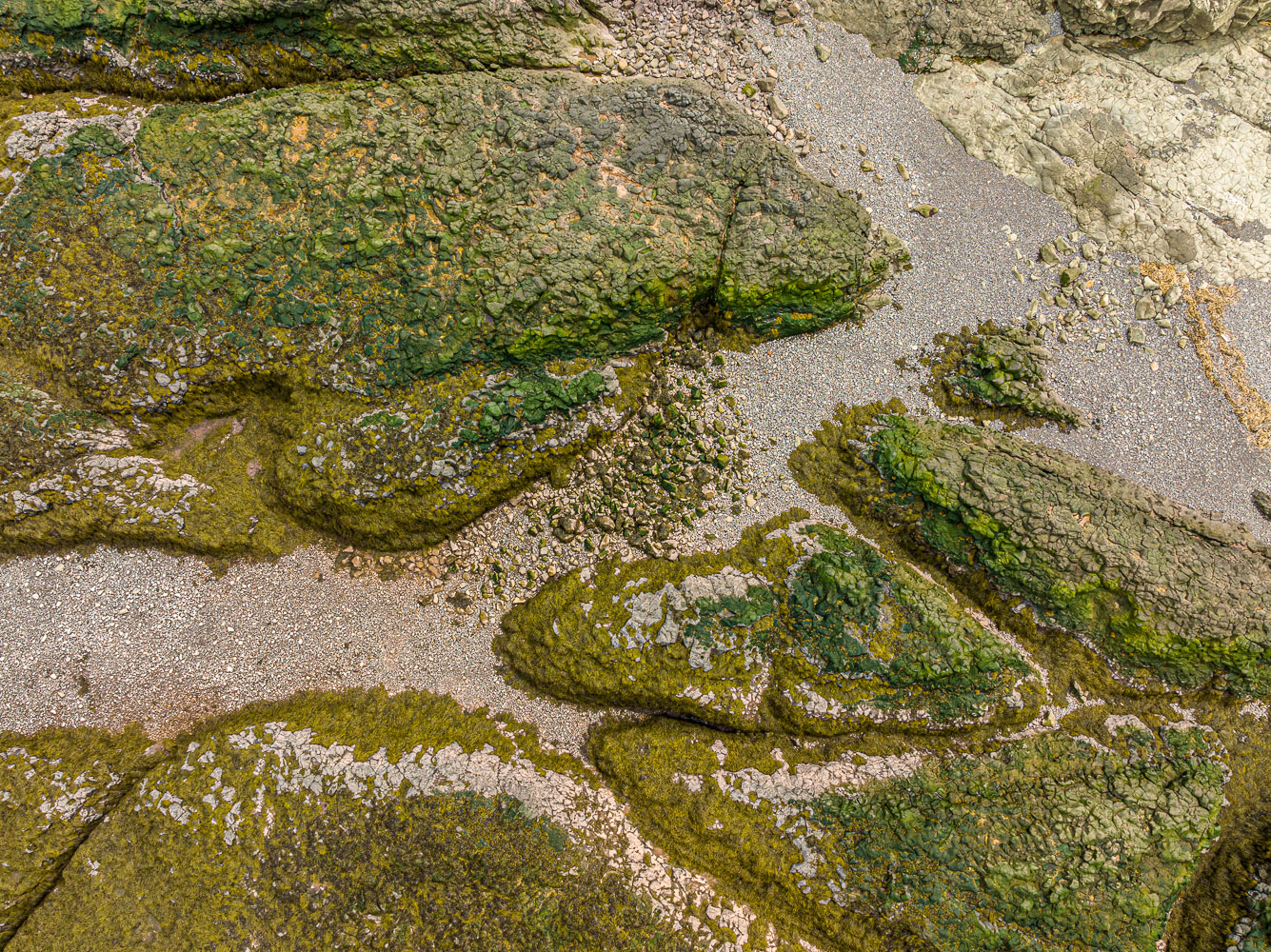 Fundy_125664_DJI_0126-HDR.jpg