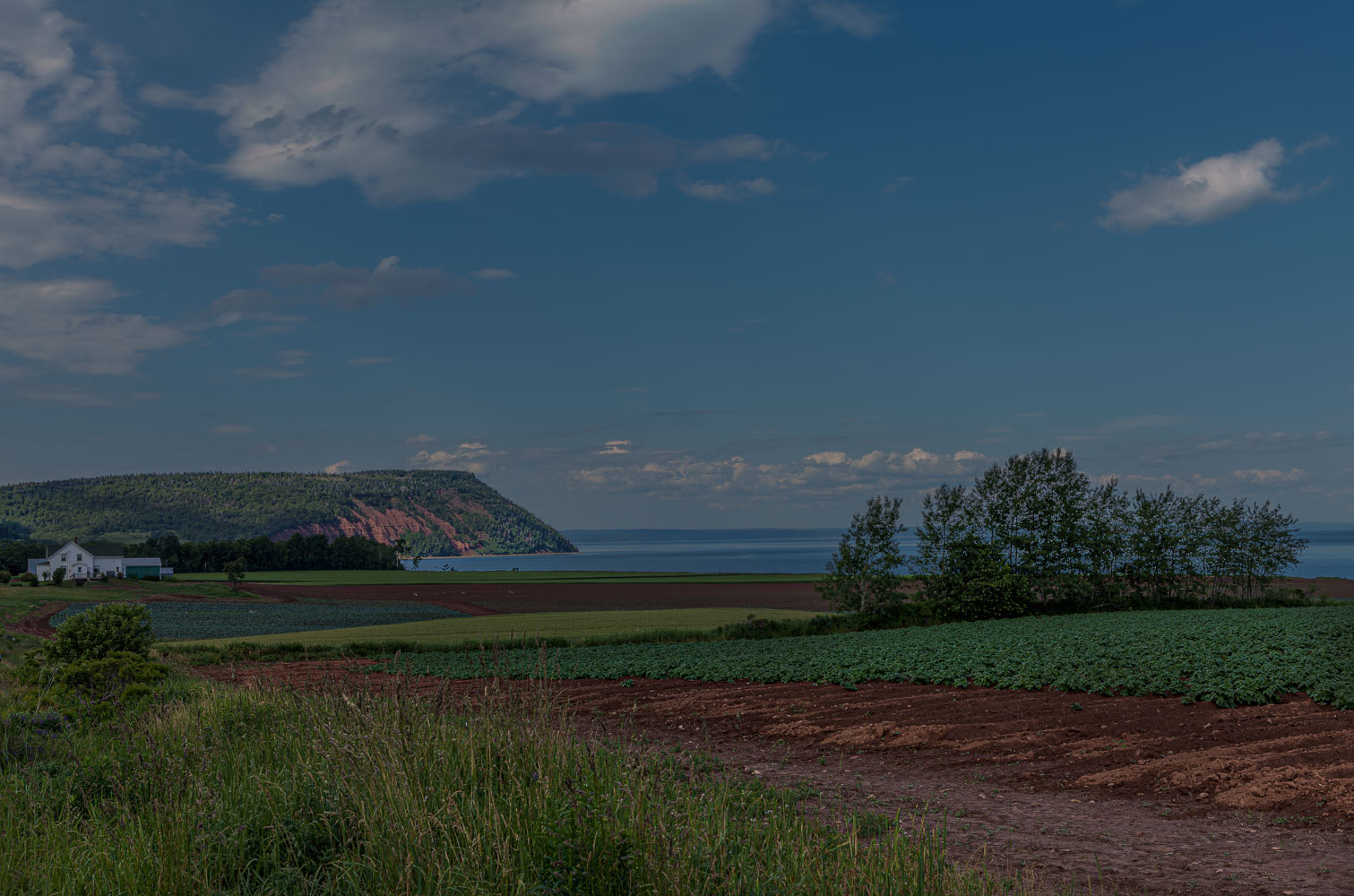 Valley_12_31305__MG_8328-Edit.jpg