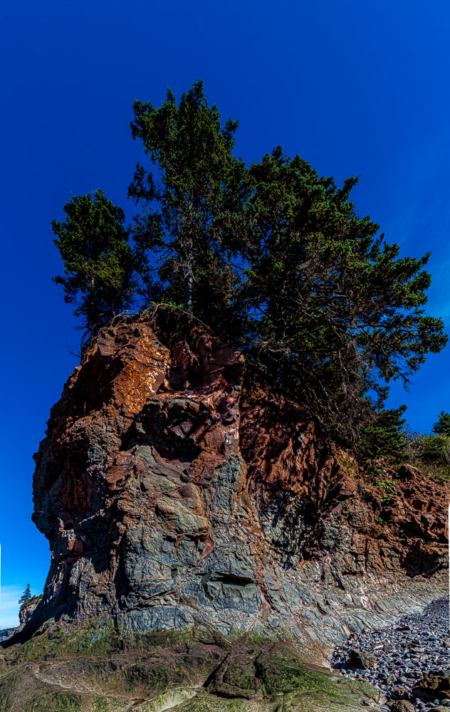 Peggys_16_75338__MG_0132-Pano.jpg