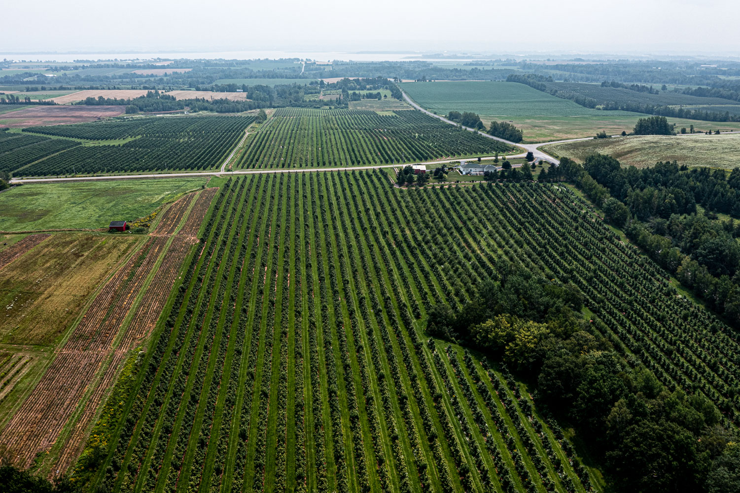 KentvilleTrip_21_108683_DJI_0695-HDR.jpg