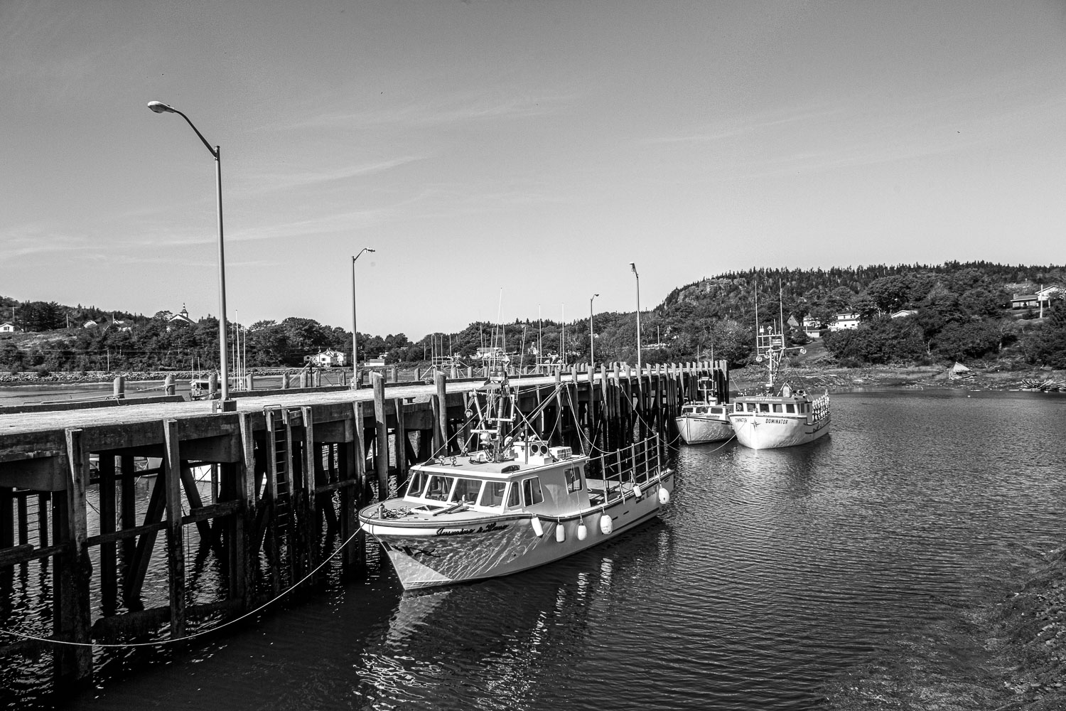 Digby_13_46206__MG_1535.jpg