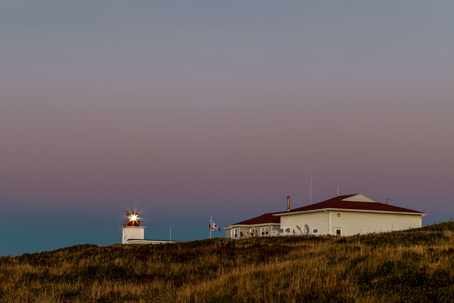 Digby_13_46584__MG_1562.jpg