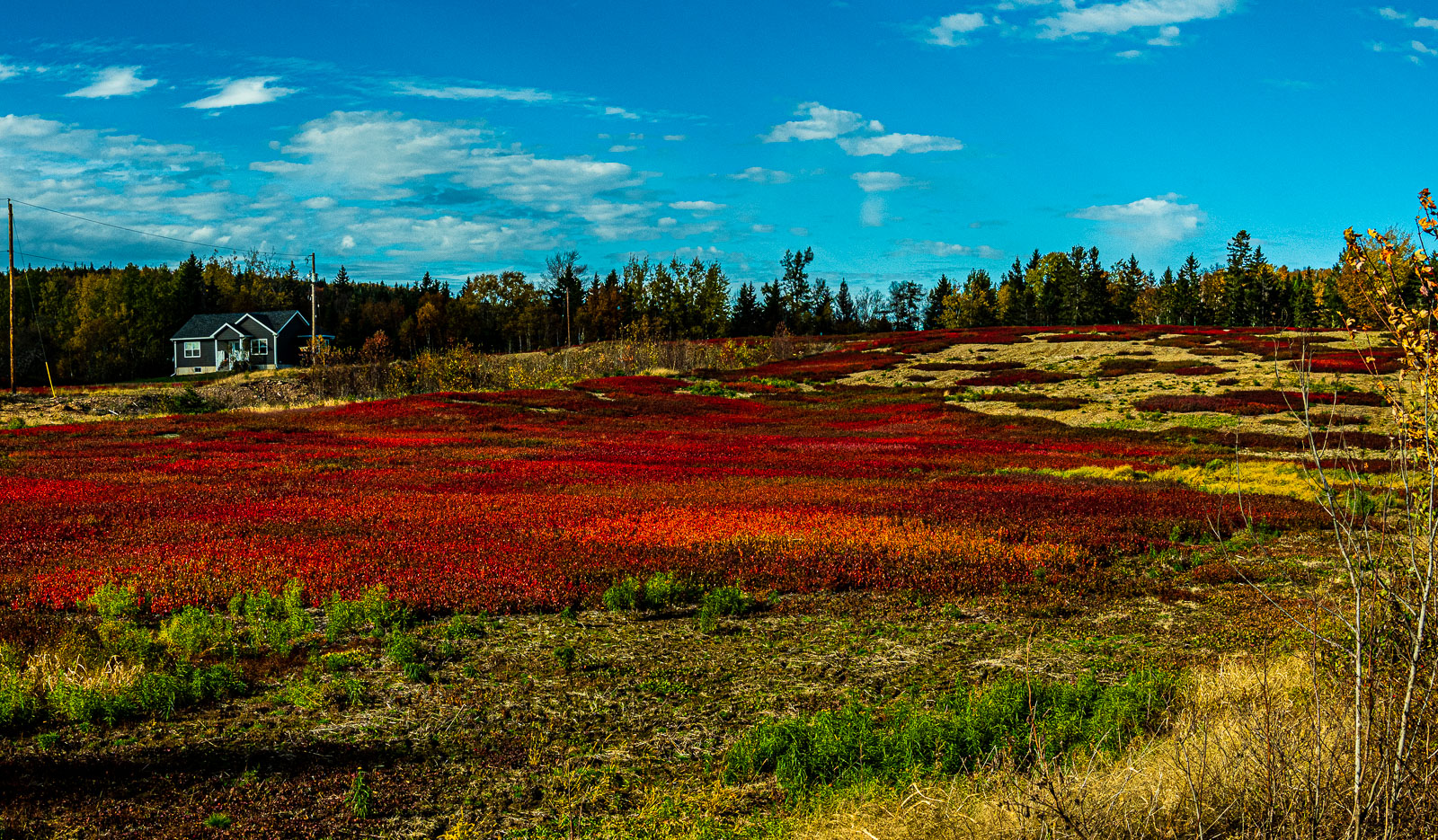 Fundy_18_93595__A210287-Pano.jpg