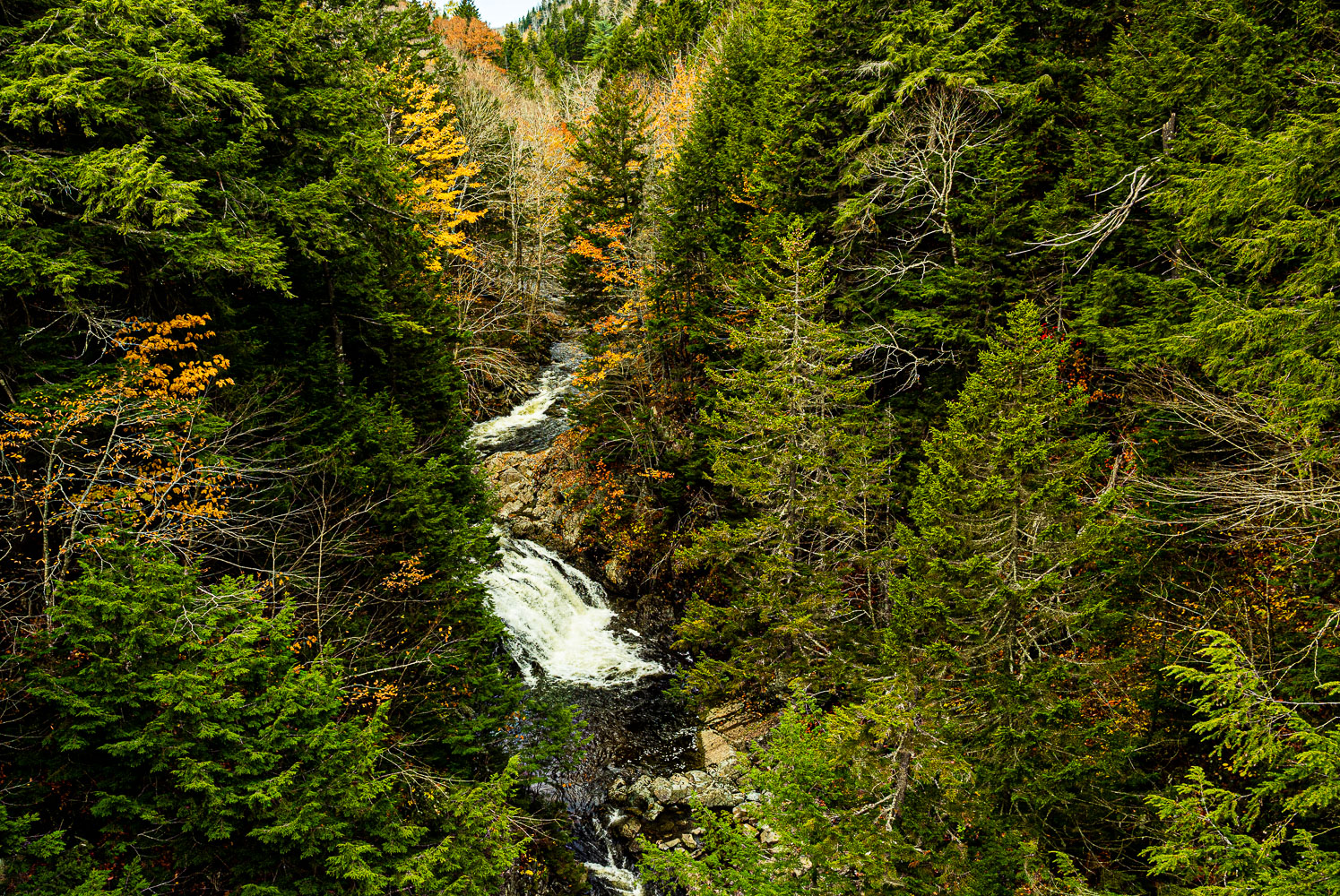 Fundy_18_94226__A210263-Pano.jpg