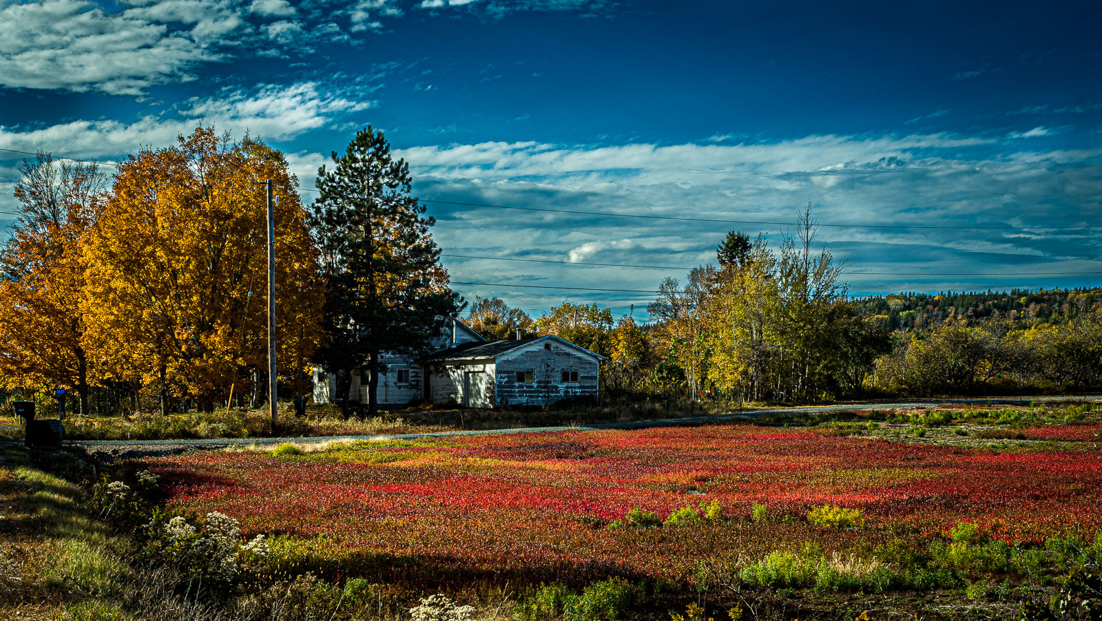 Fundy_18_94264__A210301.jpg