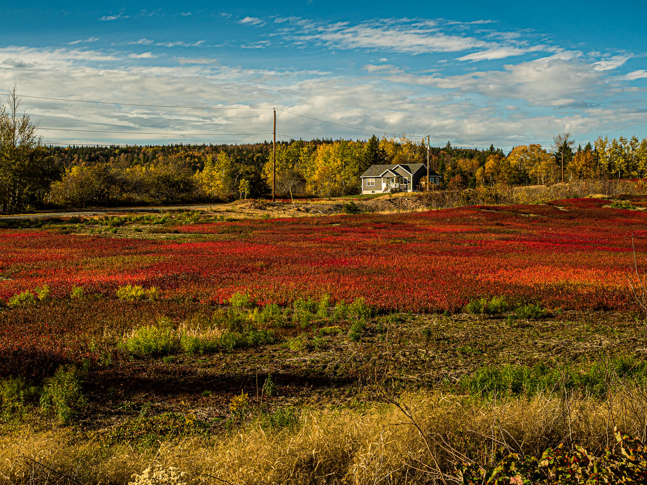 Fundy_18_94265__A210302.jpg