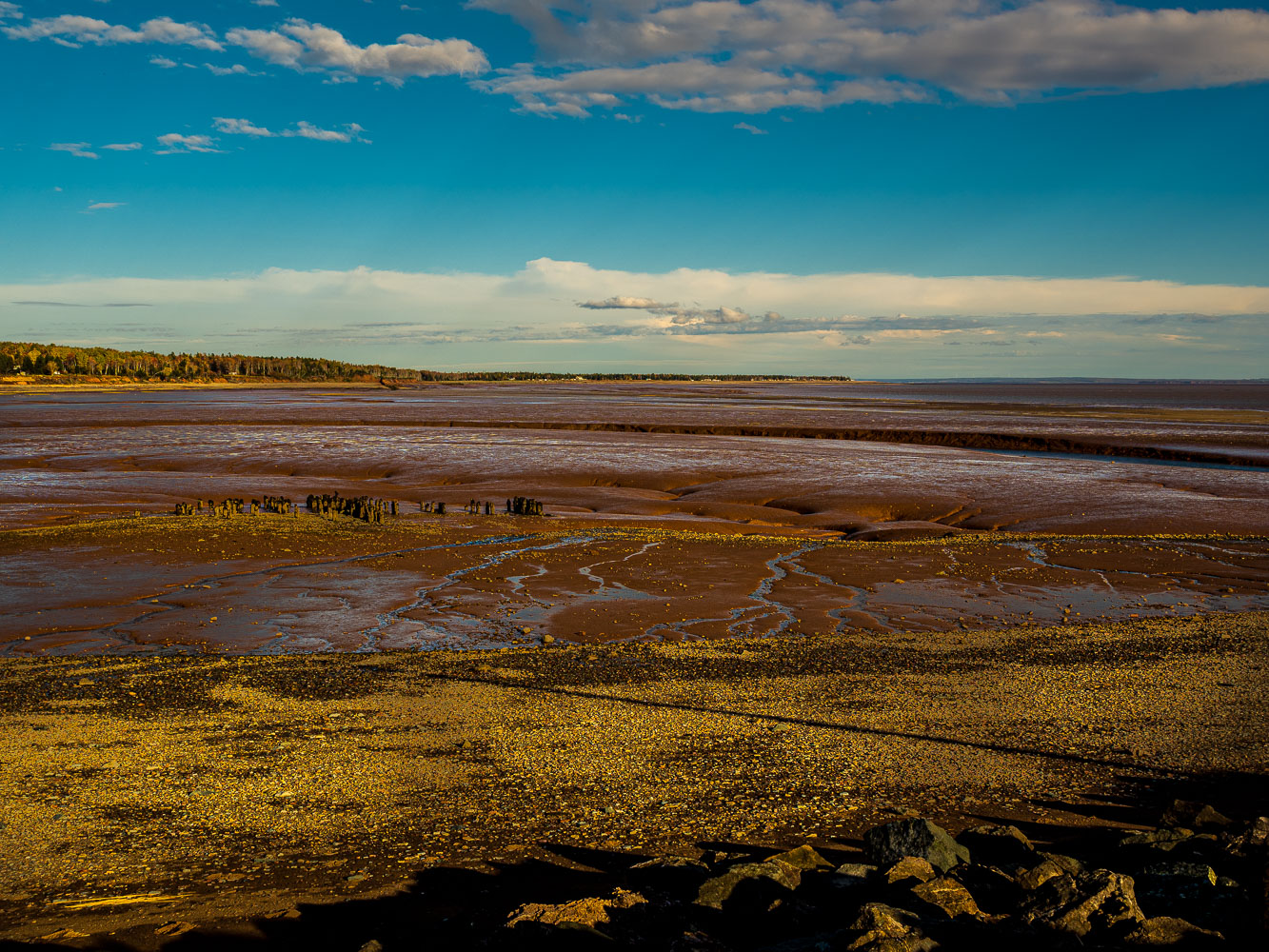 Fundy_18_94294__A210331.jpg