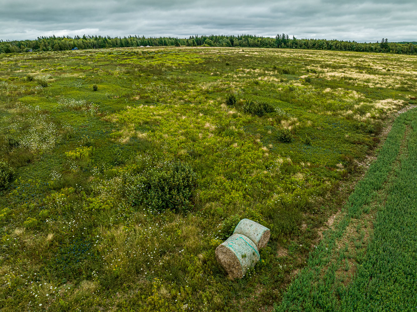 Gore_147089_DJI_0011-HDR.jpg