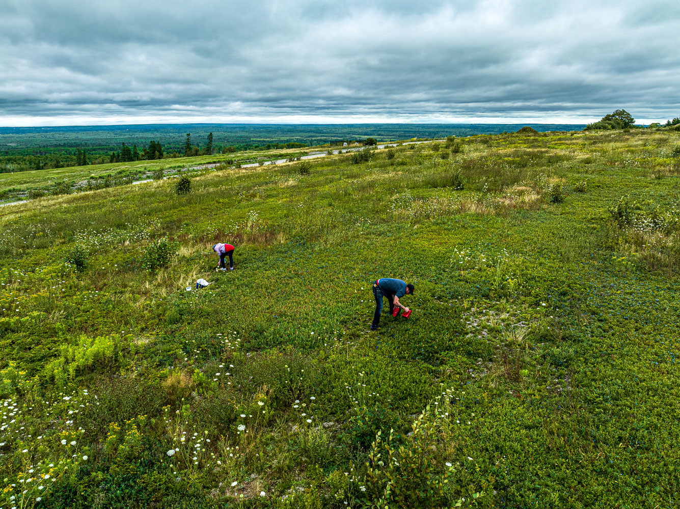 Gore_147094_DJI_0016-HDR.jpg