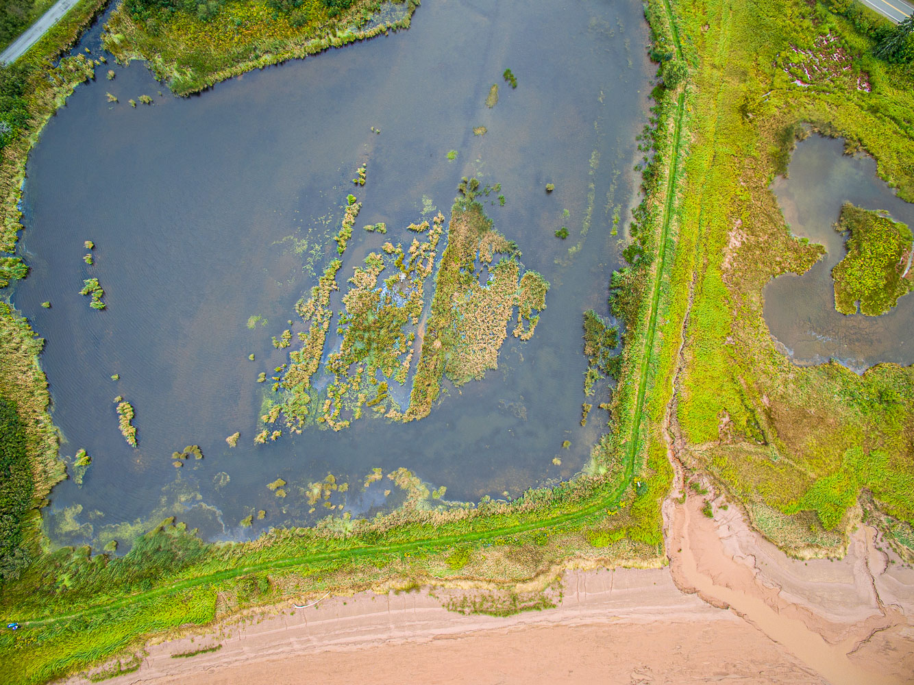 Joggins_15_68047_DJI_0546-HDR.jpg