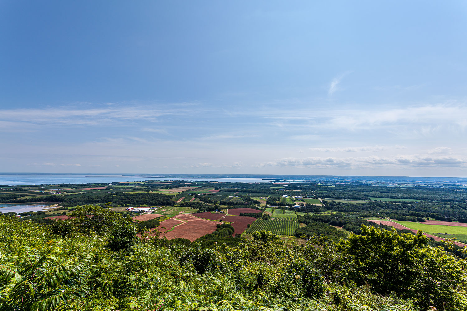 Blomidon_15_67521__MG_8516.jpg