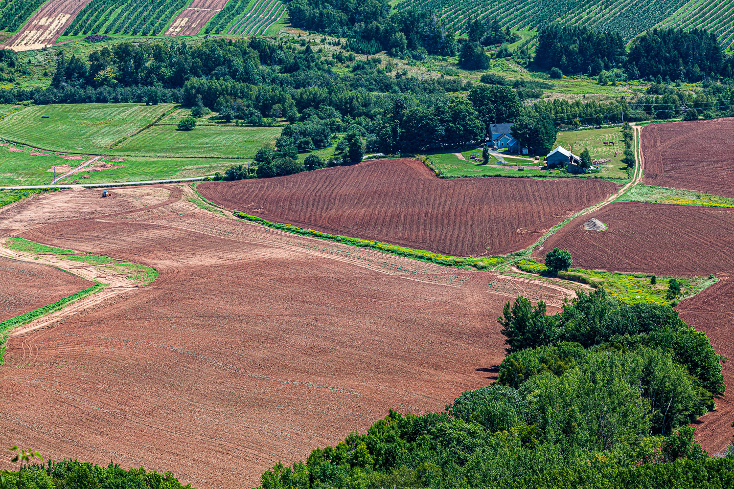 Blomidon_15_67527__MG_8522.jpg