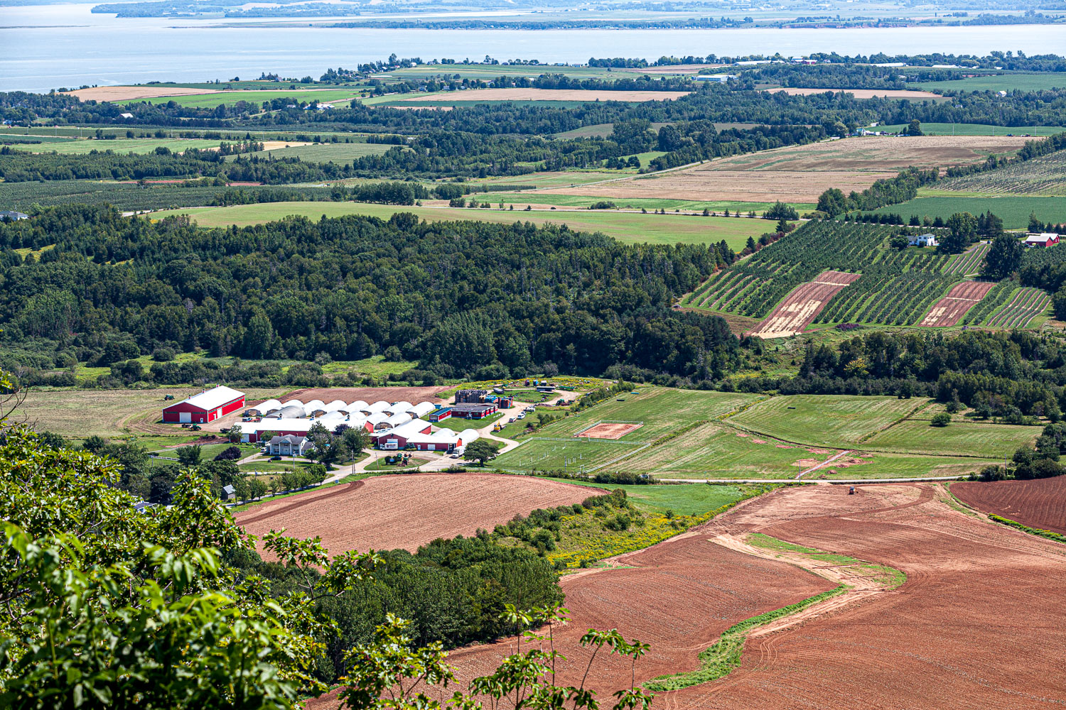 Blomidon_15_67529__MG_8524.jpg