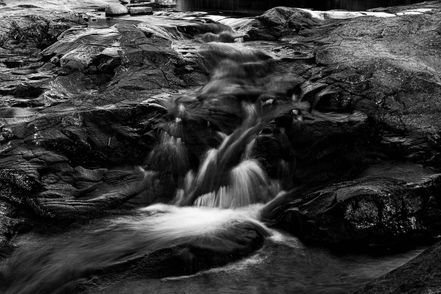 Valley_12_30995__MG_8095.jpg