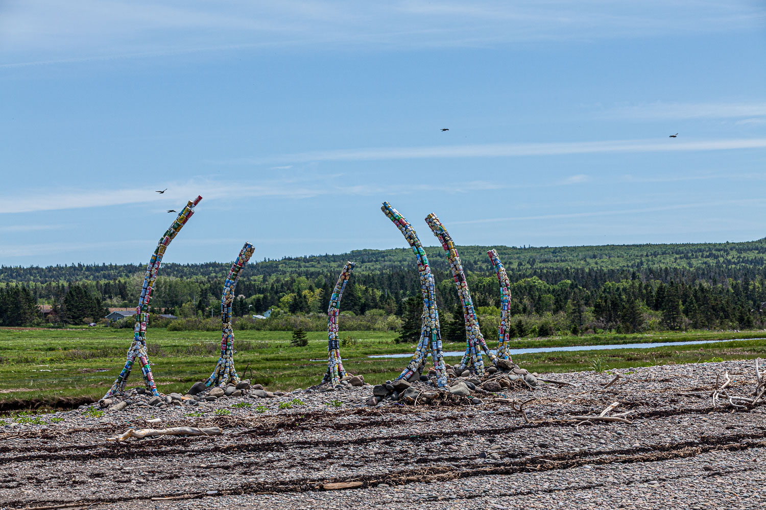 ScottsBay_15_65873__MG_8226.jpg